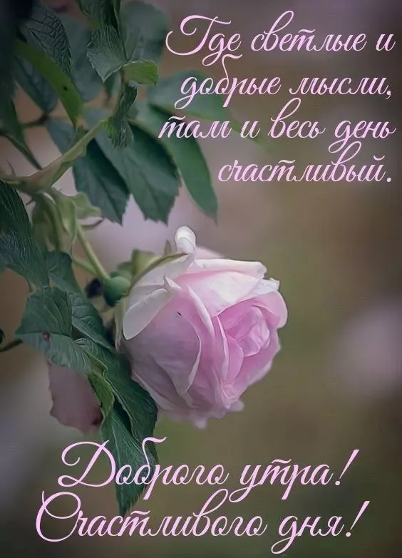Кафе "У пани Сони"