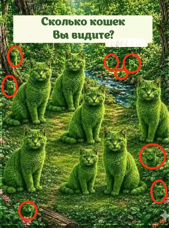 Кафе "У пани Сони"