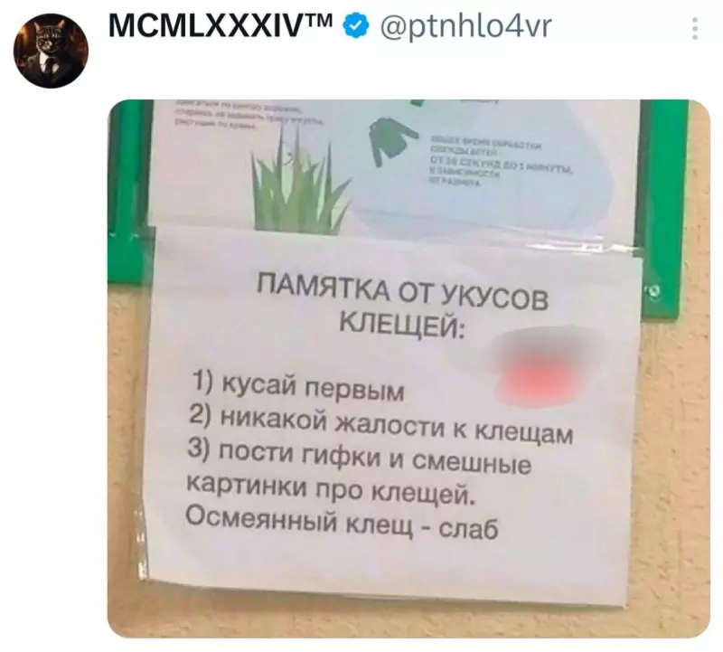 Кафе "У пани Сони"
