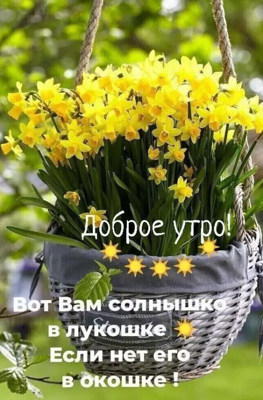Кафе "У пани Сони"