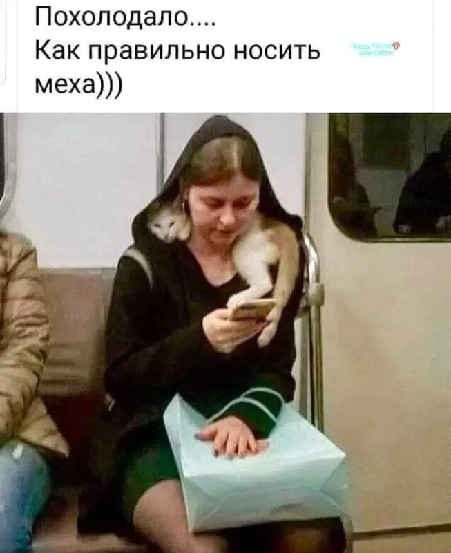 Кафе "У пани Сони"