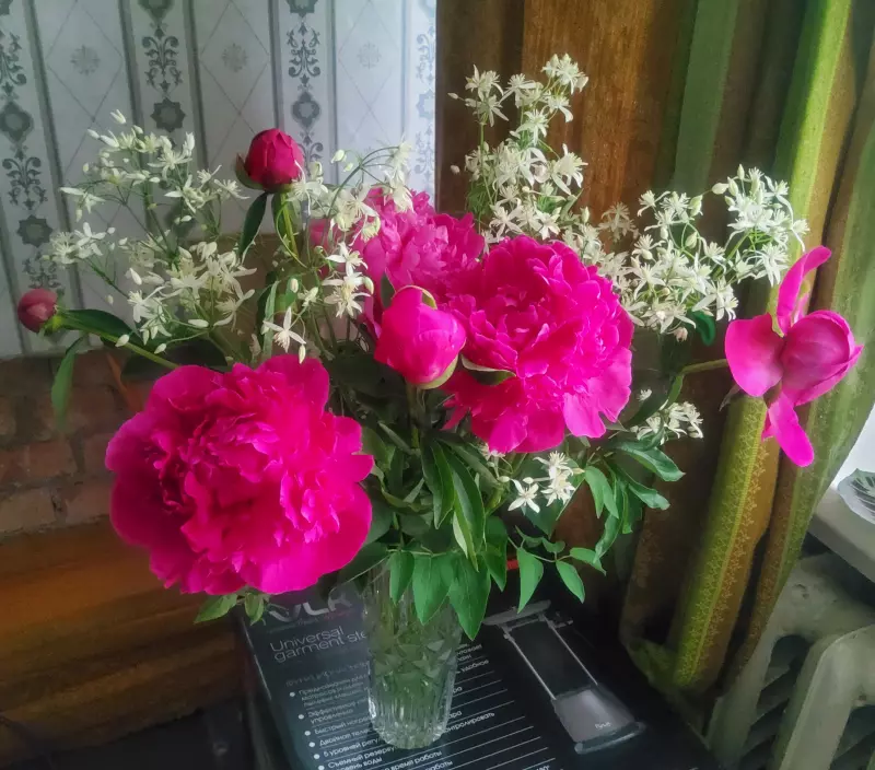 Кафе "У пани Сони"