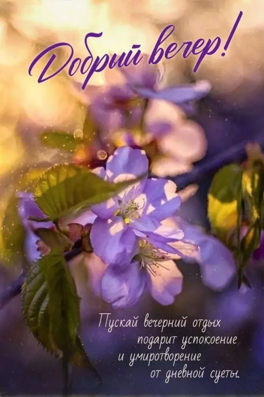 Кафе "У пани Сони"