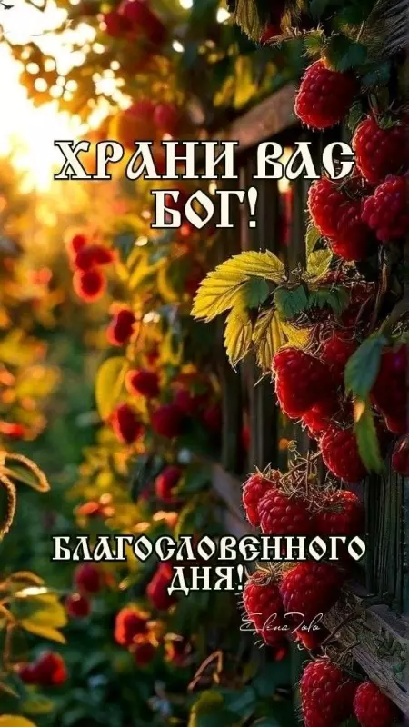 Кафе "У пани Сони"