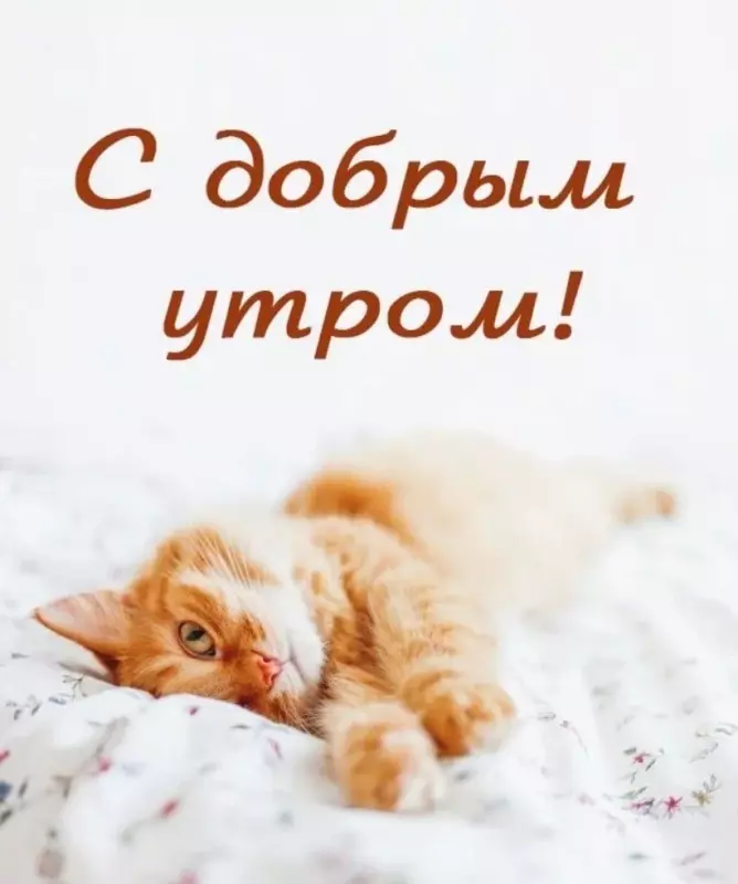 Кафе "У пани Сони"