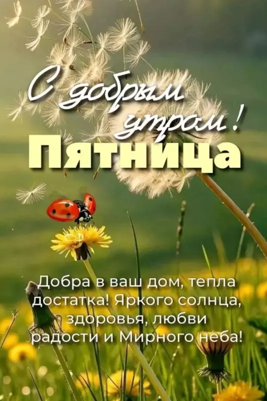 Кафе "У пани Сони"