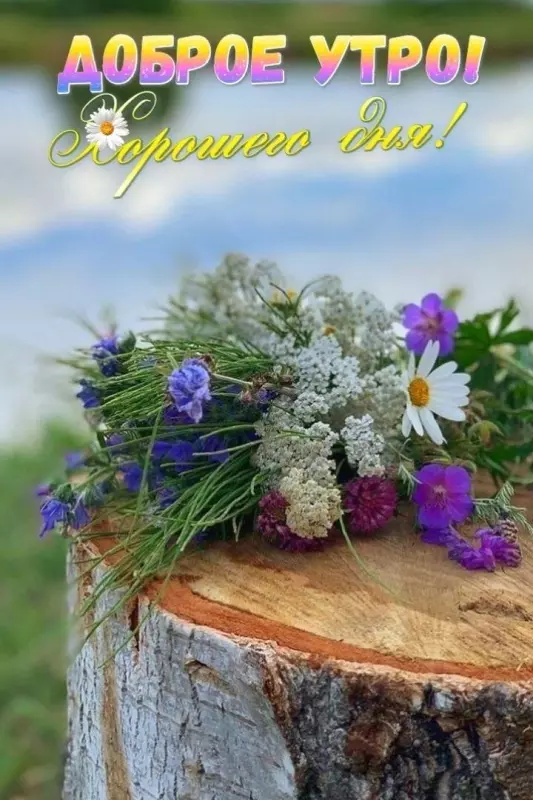 Кафе "У пани Сони"
