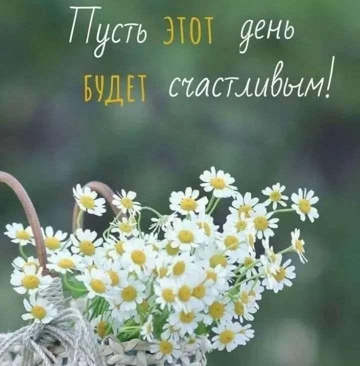 Кафе "У пани Сони"