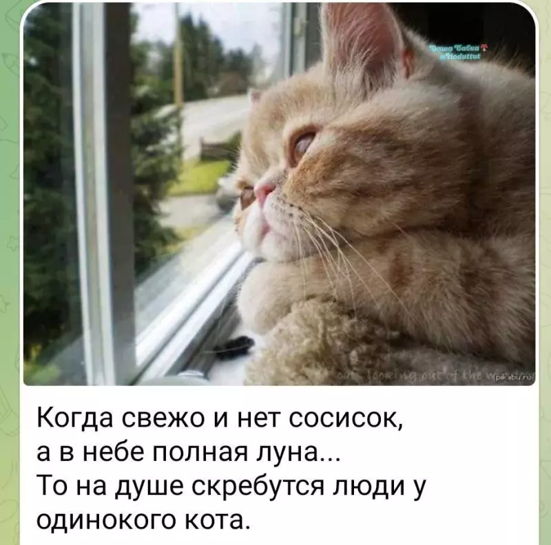 Кафе "У пани Сони"