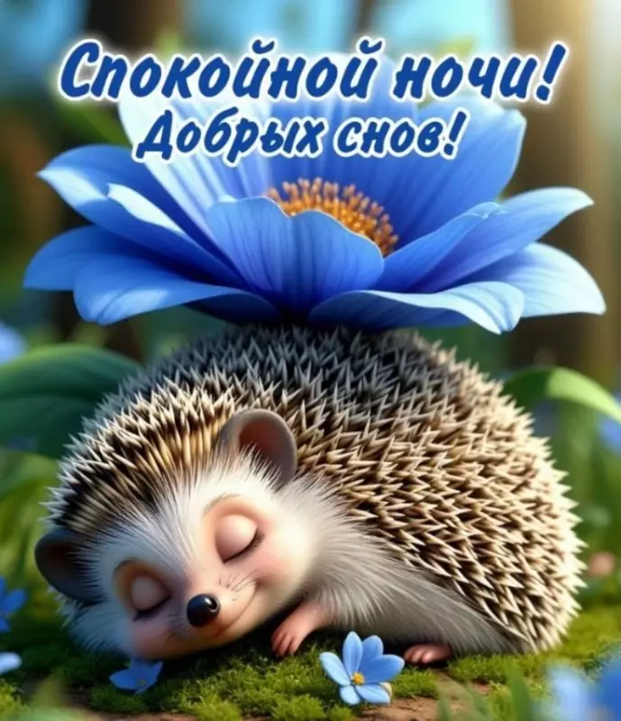 Кафе "У пани Сони"
