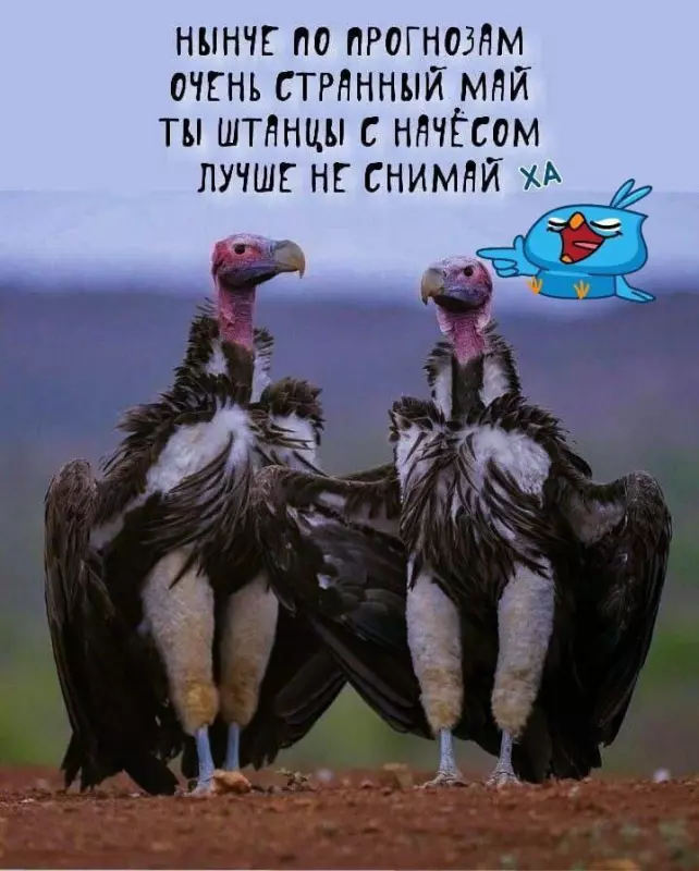 Кафе "У пани Сони"