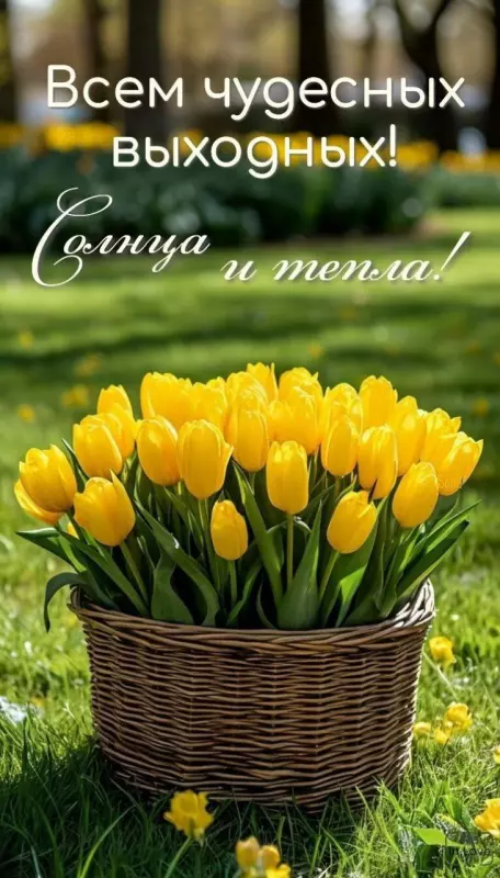 Кафе "У пани Сони"