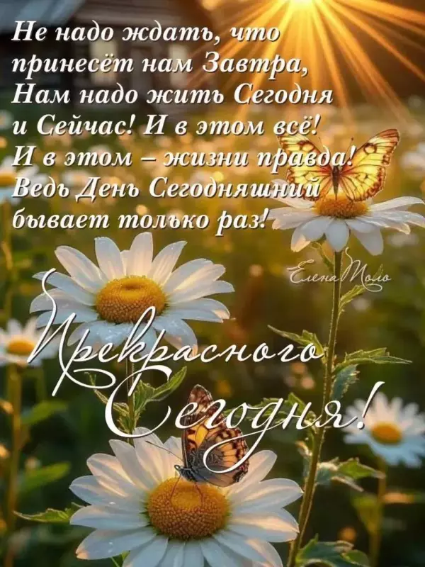 Кафе "У пани Сони"