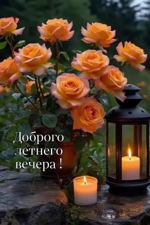 Кафе "У пани Сони"