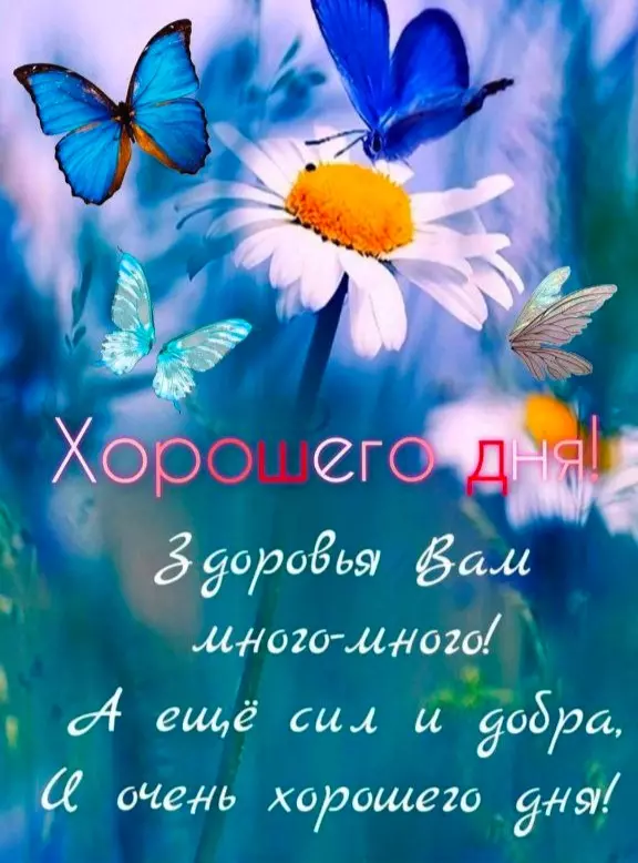 Кафе "У пани Сони"