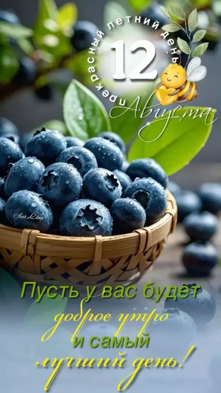 Кафе "У пани Сони"