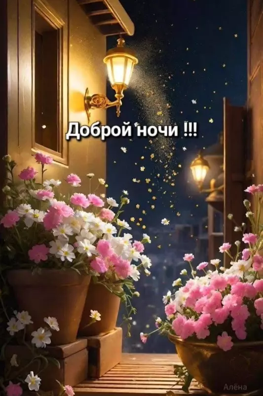 Кафе "У пани Сони"
