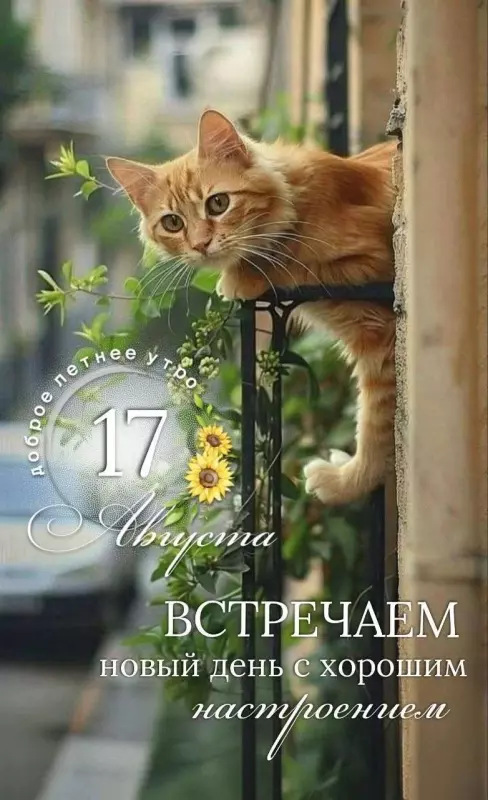 Кафе "У пани Сони"