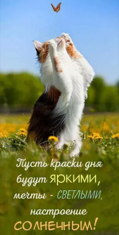Кафе "У пани Сони"