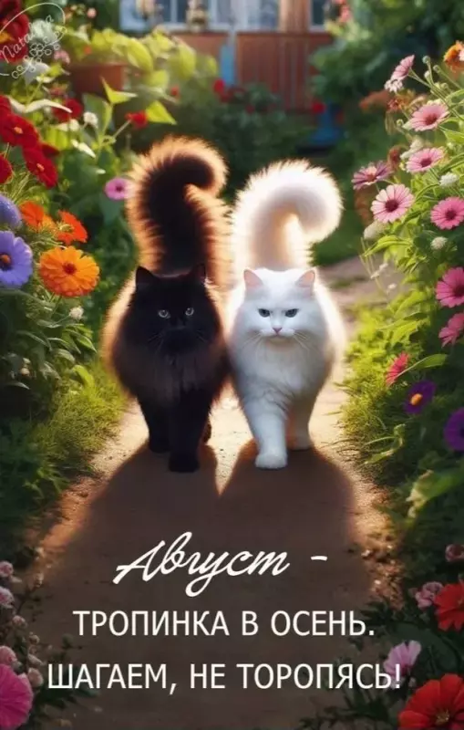 Кафе "У пани Сони"
