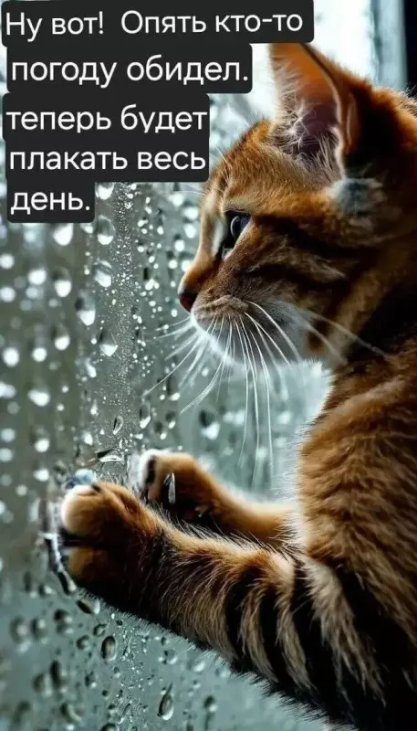 Кафе "У пани Сони"