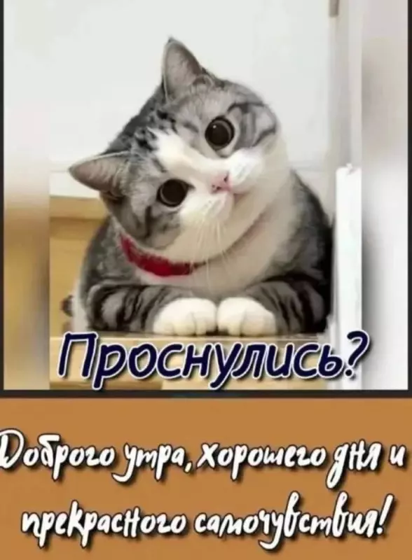 Кафе "У пани Сони"