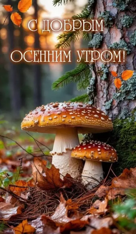 Кафе "У пани Сони"