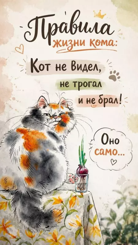 Кафе "У пани Сони"