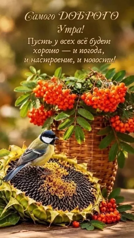 Кафе "У пани Сони"