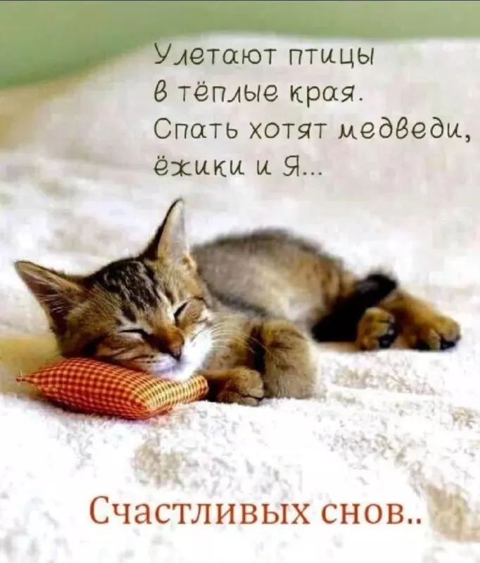 Кафе "У пани Сони"