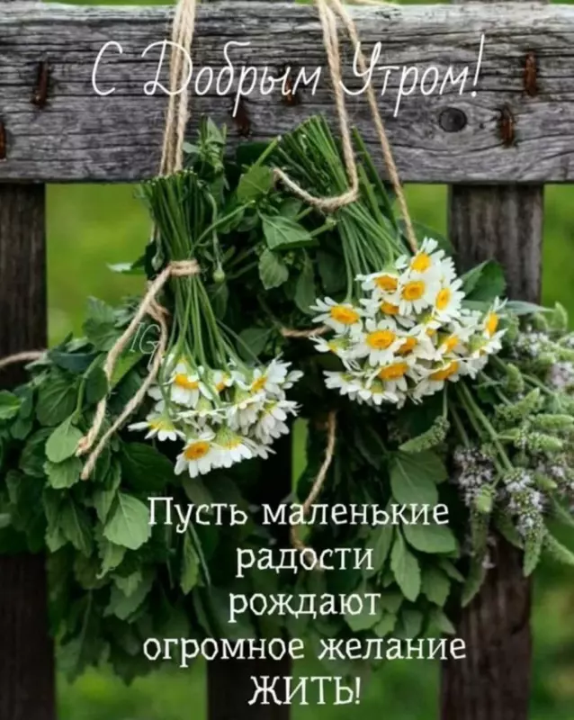 Кафе "У пани Сони"