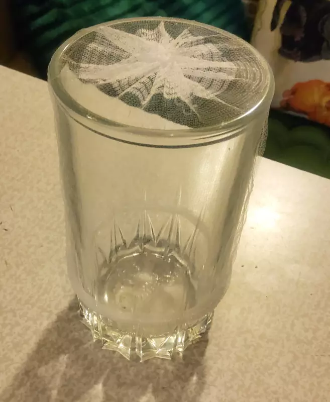 Что происходит с Ozon?