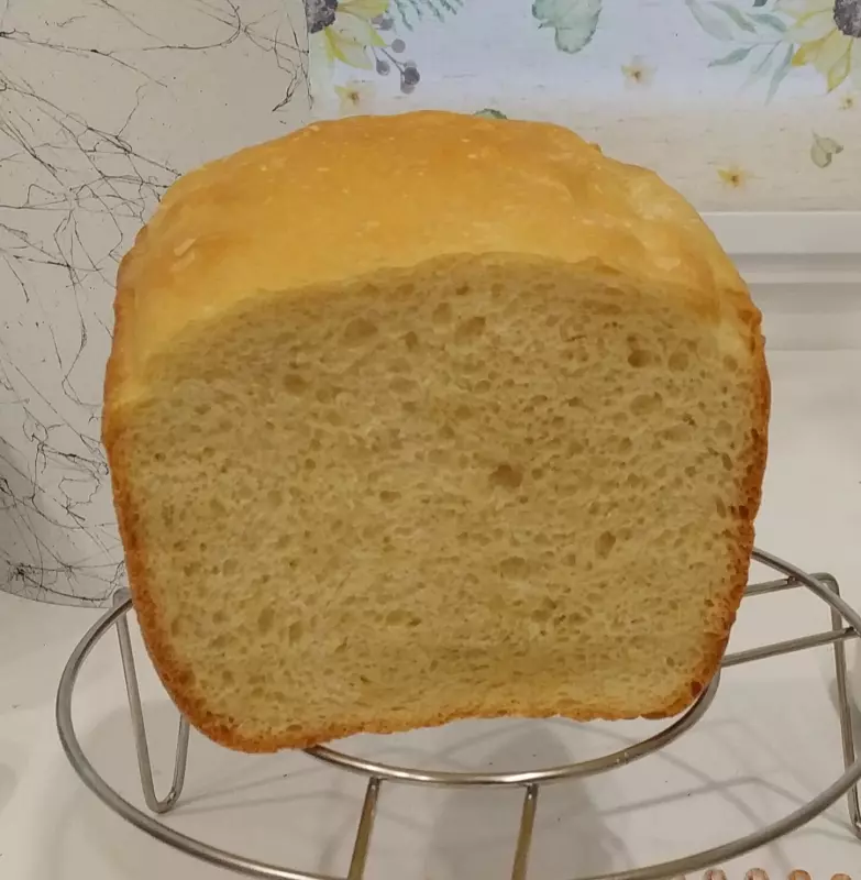 Мини-хлебопечка Panasonic SD PN100