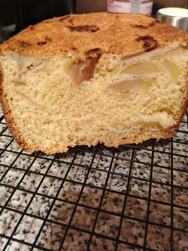 Хлебопечь Redmond RBM-M1909