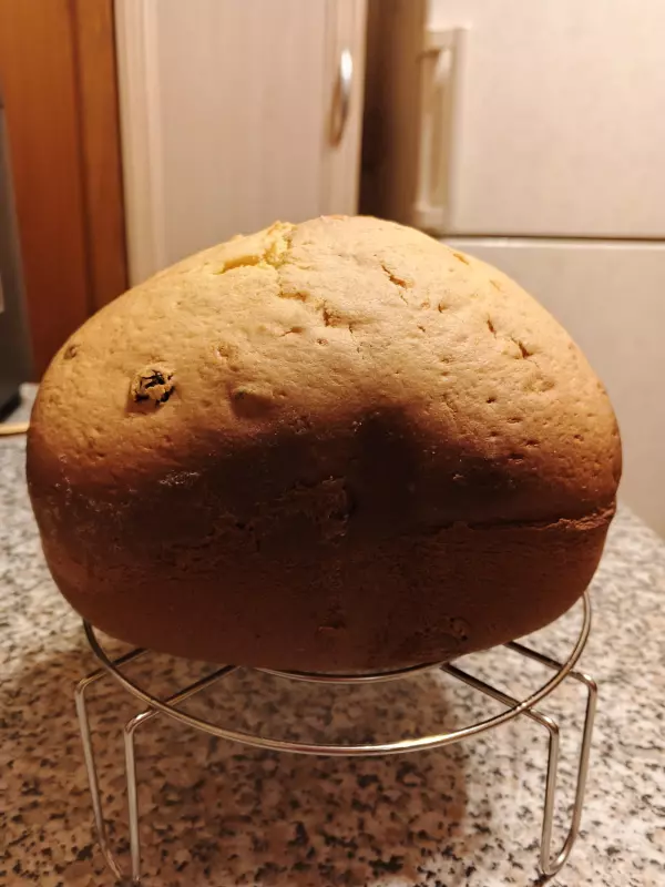 Кекс столичный в хлебопечке Panasonic SD-YR2550 (+видео)