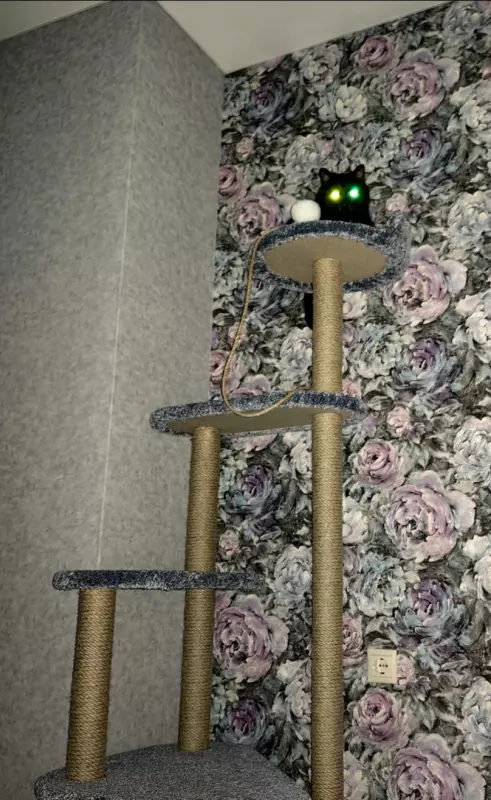 Tapтaлeтки & Ко