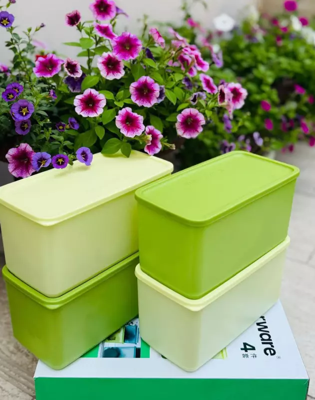 Посуда Tupperware (СП, Россия) - tata2307