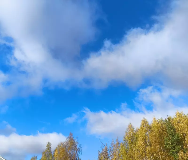 Такое разное небо
