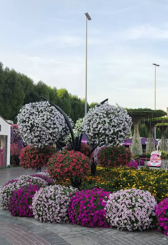 Tapтaлeтки & Ко