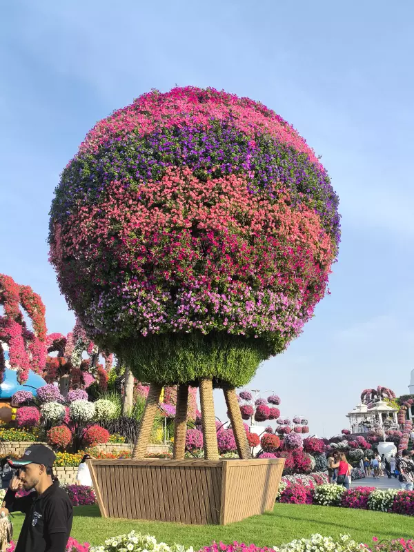 Tapтaлeтки & Ко