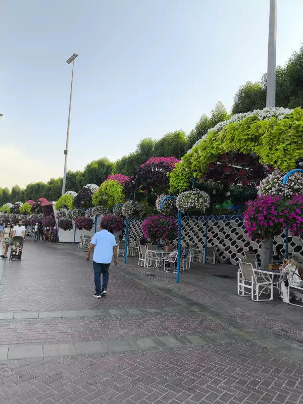 Tapтaлeтки & Ко