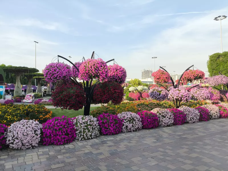 Tapтaлeтки & Ко