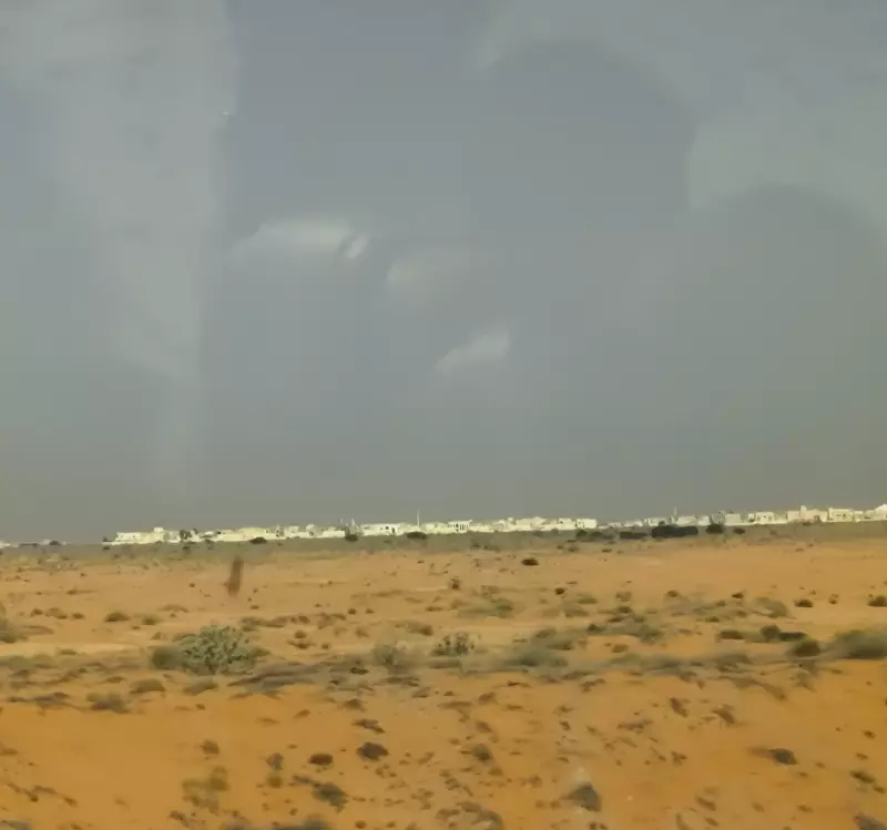 Tapтaлeтки & Ко