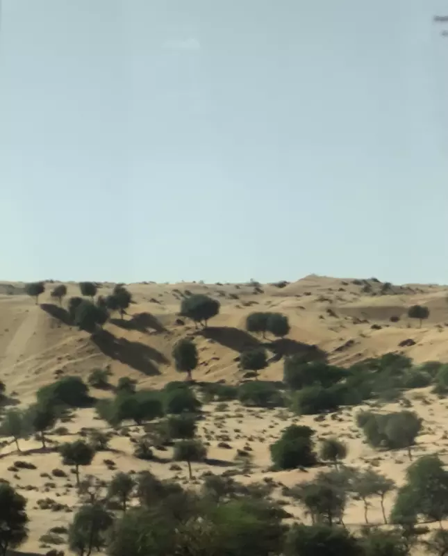 Tapтaлeтки & Ко