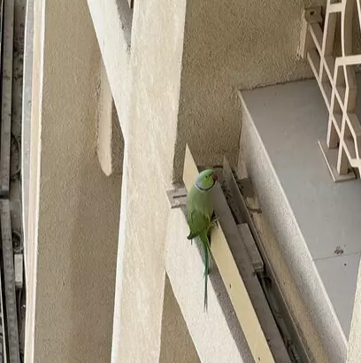 Tapтaлeтки & Ко