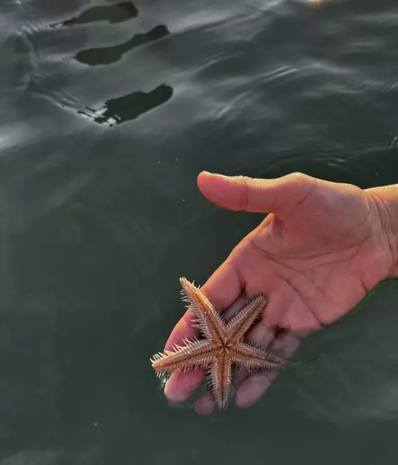 Tapтaлeтки & Ко