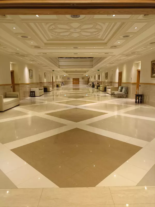 Tapтaлeтки & Ко