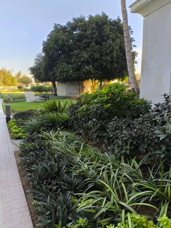 Tapтaлeтки & Ко