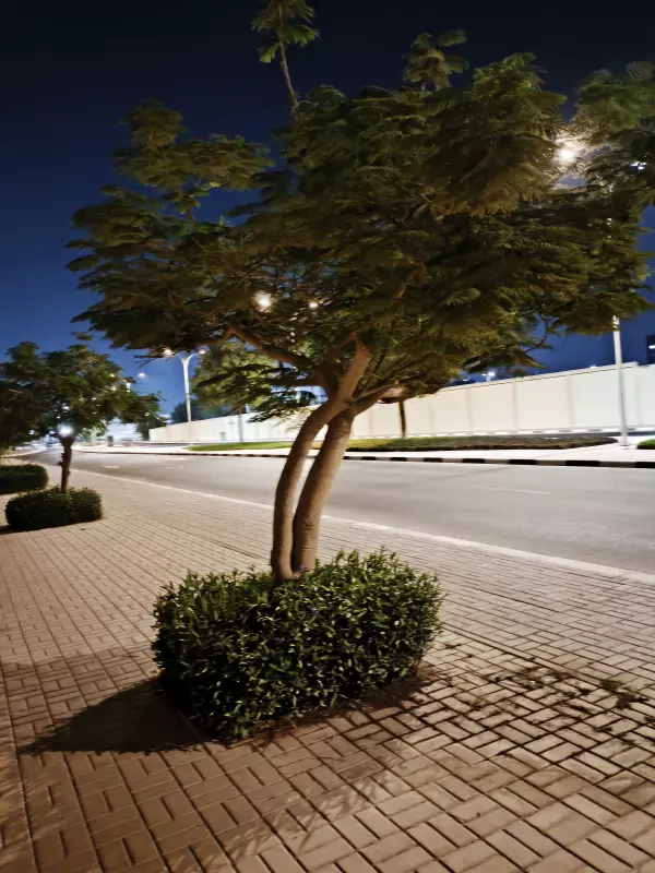 Tapтaлeтки & Ко