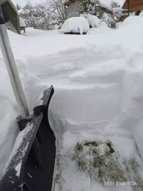 Tapтaлeтки & Ко